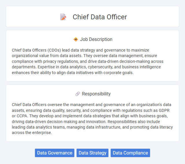 Chief Data Officer Job Description and Career Detail
