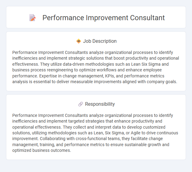 Performance Improvement Consultant Job Description and Career Detail