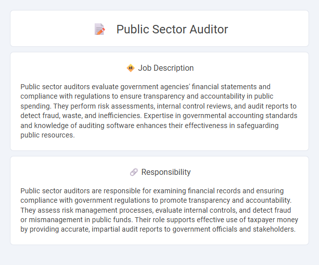Public Sector Auditor Job Description and Career Detail