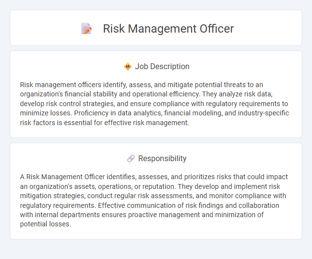 Risk Management Officer Job Description and Career Detail