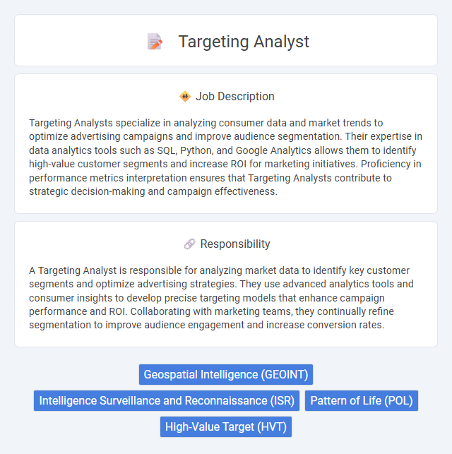 Targeting Analyst Job Description and Career Detail