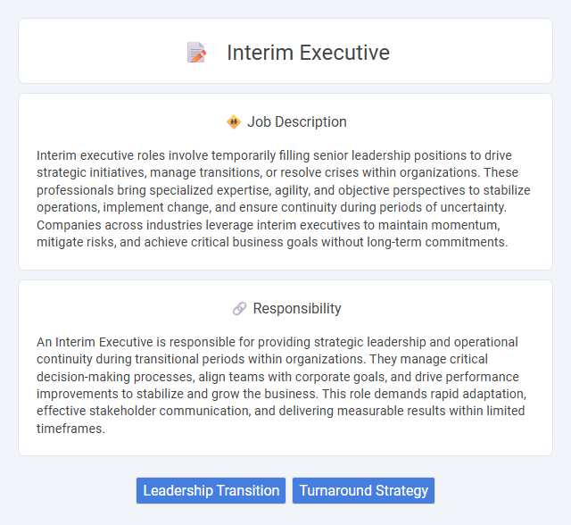 Interim Executive Job Description and Career Detail
