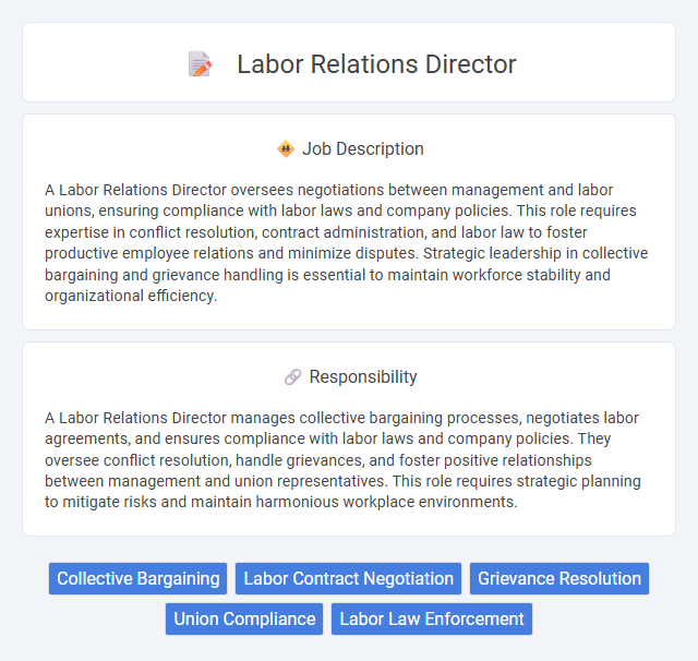 Labor Relations Director Job Description and Career Detail