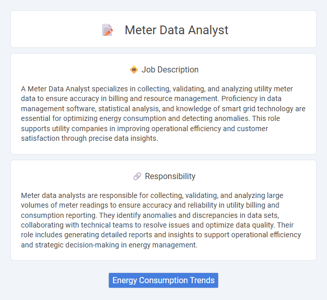 Meter Data Analyst Job Description and Career Detail