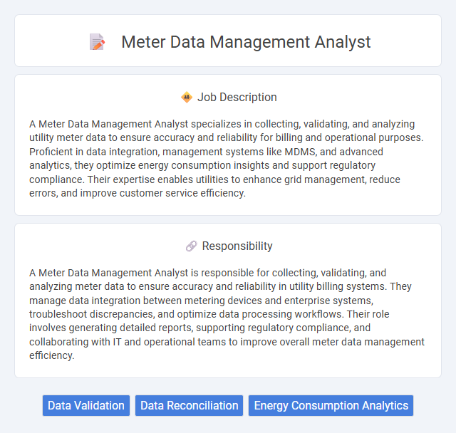 Meter Data Management Analyst Job Description and Career Detail