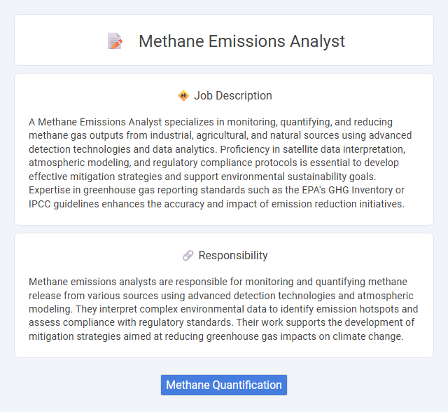 Methane Emissions Analyst Job Description and Career Detail