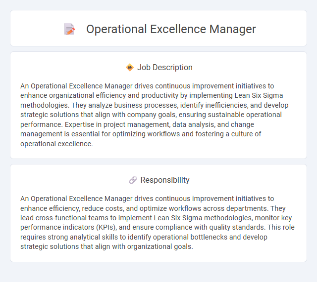 Operational Excellence Manager Job Description and Career Detail