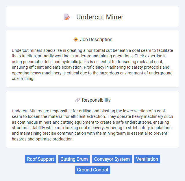 Undercut Miner Job Description and Career Detail