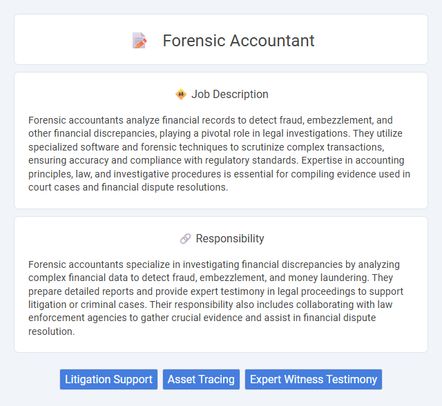 Forensic Accountant Job Description and Career Detail