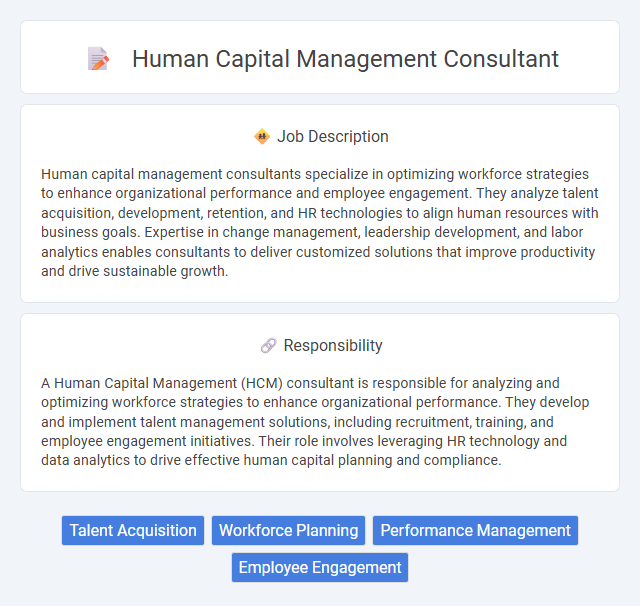 Human Capital Management Consultant Job Description and Career Detail