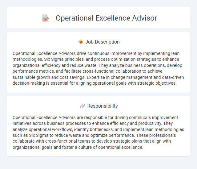 Operational Excellence Advisor Job Description and Career Detail