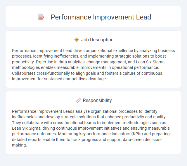 Performance Improvement Lead Job Description and Career Detail