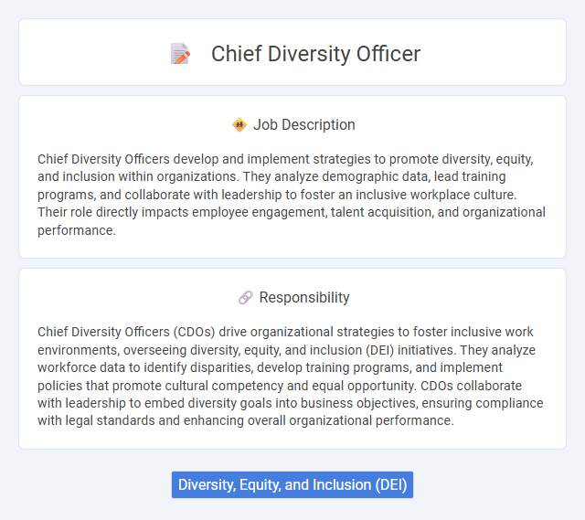 Chief Diversity Officer Job Description and Career Detail