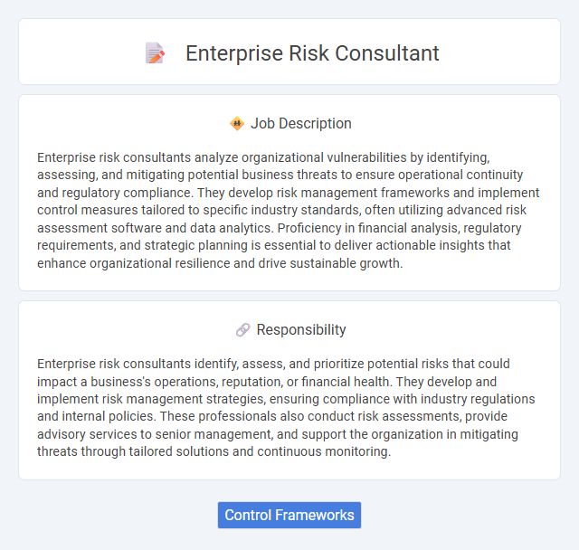 Enterprise Risk Consultant Job Description and Career Detail