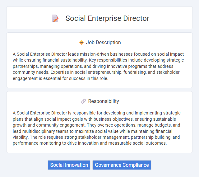 Social Enterprise Director Job Description and Career Detail