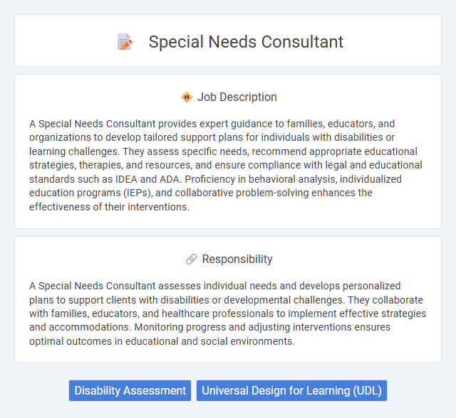 Special Needs Consultant Job Description and Career Detail