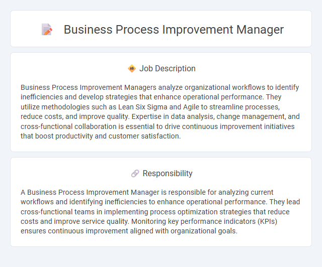 Business Process Improvement Manager Job Description and Career Detail