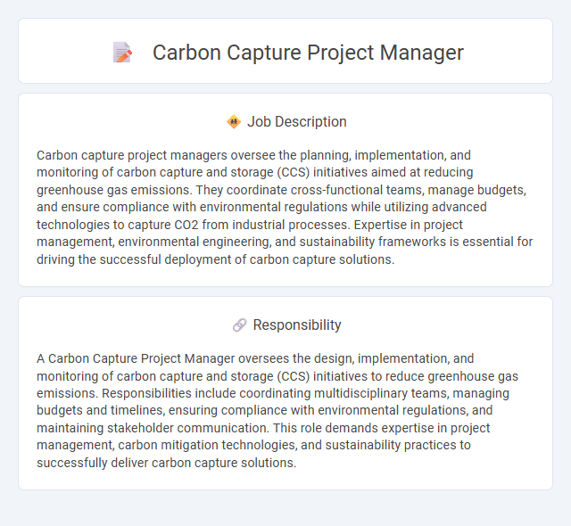 Carbon Capture Project Manager Job Description and Career Detail