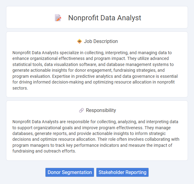 Nonprofit Data Analyst Job Description and Career Detail