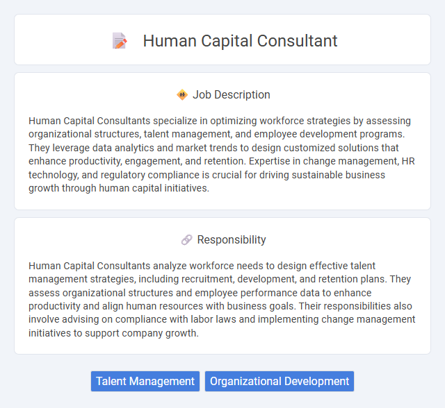 Human Capital Consultant Job Description and Career Detail