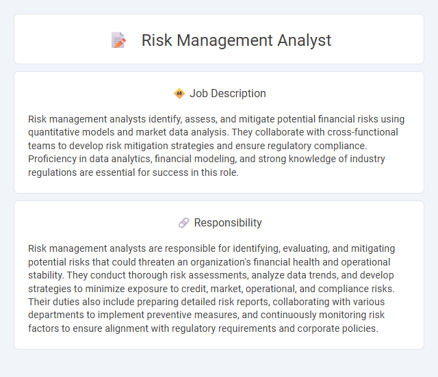 Risk Management Analyst Job Description and Career Detail